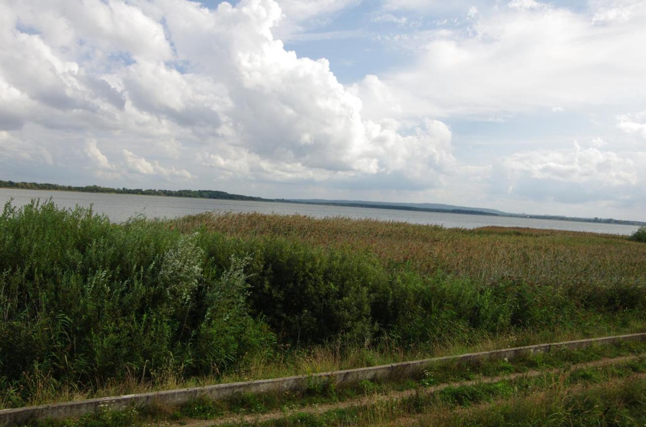 Вілла Sunrise Camp Lazy Екстер'єр фото